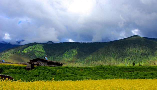 Nyingchi Region im Osttibet