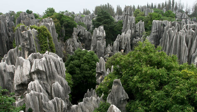 Steinwald bei Kunming